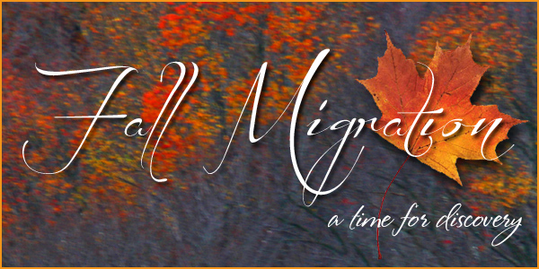 Fall Migration Title